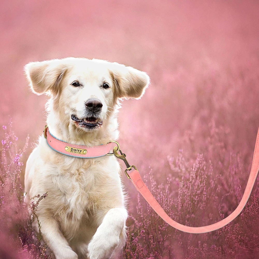 1,5 m lange Hundeleine aus Leder - Schleppleine Hund