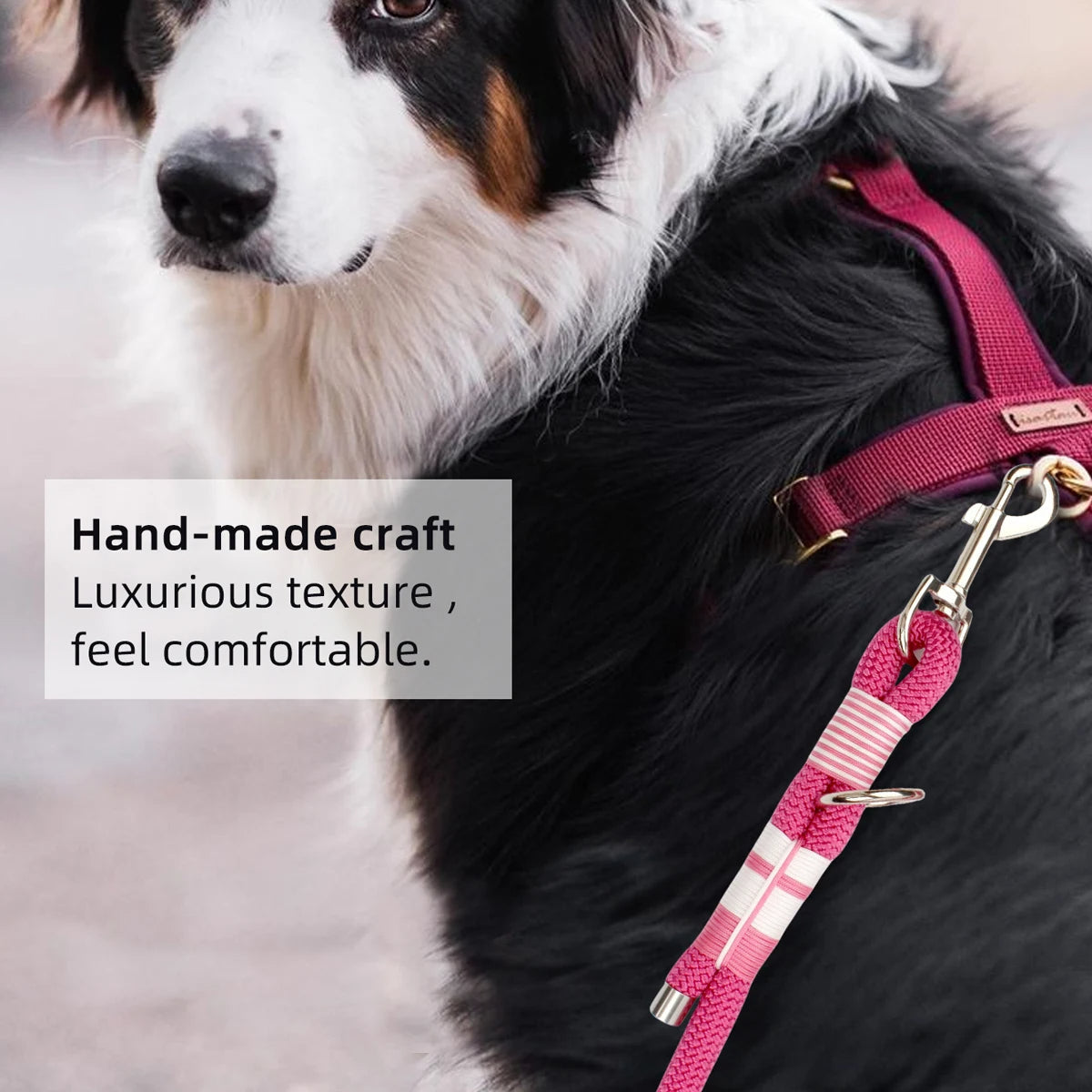 Doppelte Hundeleine aus Seil - Schleppleine Hund