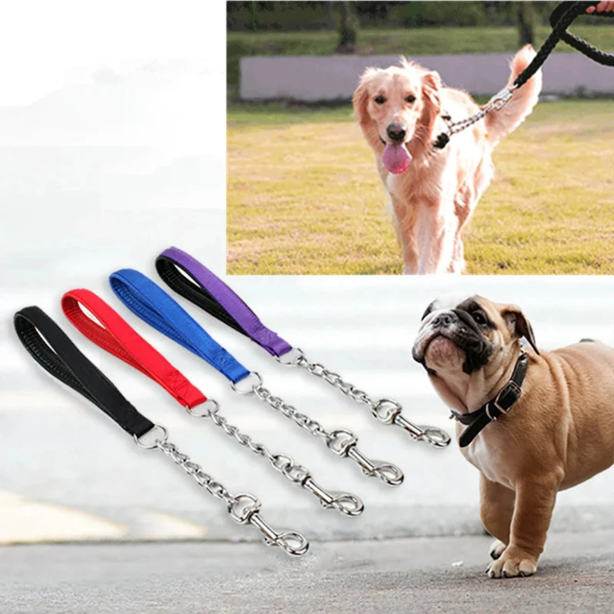 Edelstahl Hundeleine - Schleppleine Hund