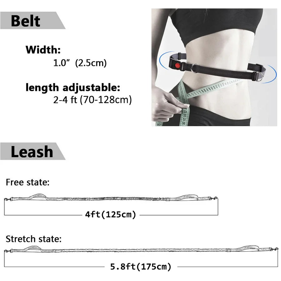 Elastische Hundeleine zum Laufen und Spazierengehen - Schleppleine Hund