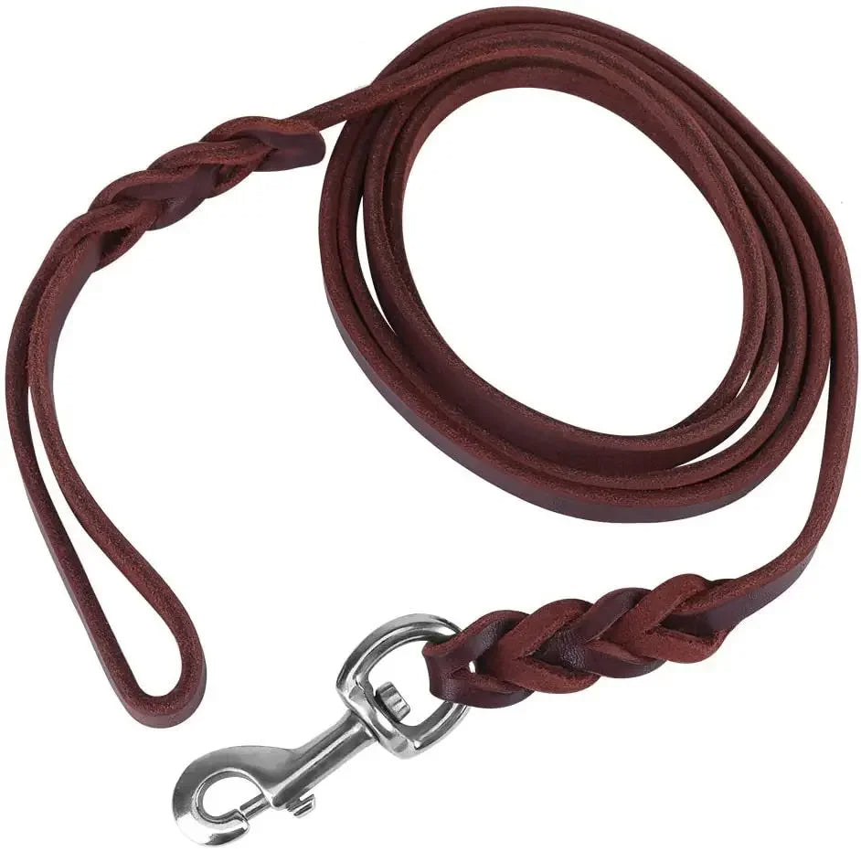 Geflochtene Hundeleine aus Echtem Leder - Schleppleine Hund