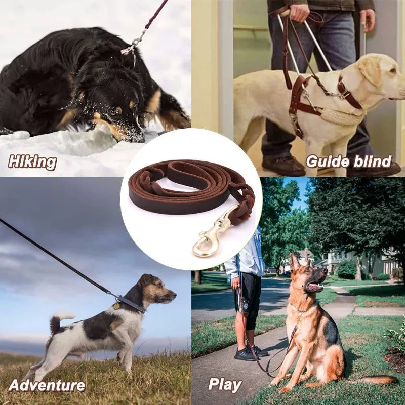 Geflochtene Hundeleine aus Echtem Leder - Schleppleine Hund