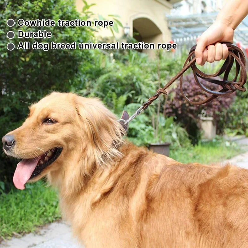 Geflochtene Hundeleine aus Echtem Leder - Schleppleine Hund