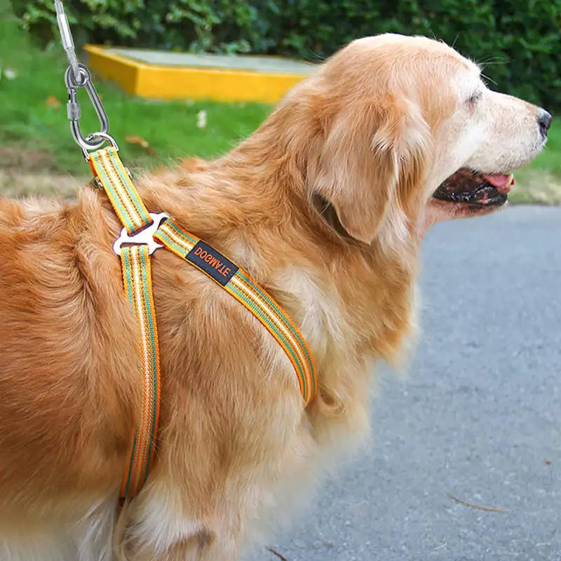 Hundeleinen aus Stahlseil mit Zwei Enden - Schleppleine Hund