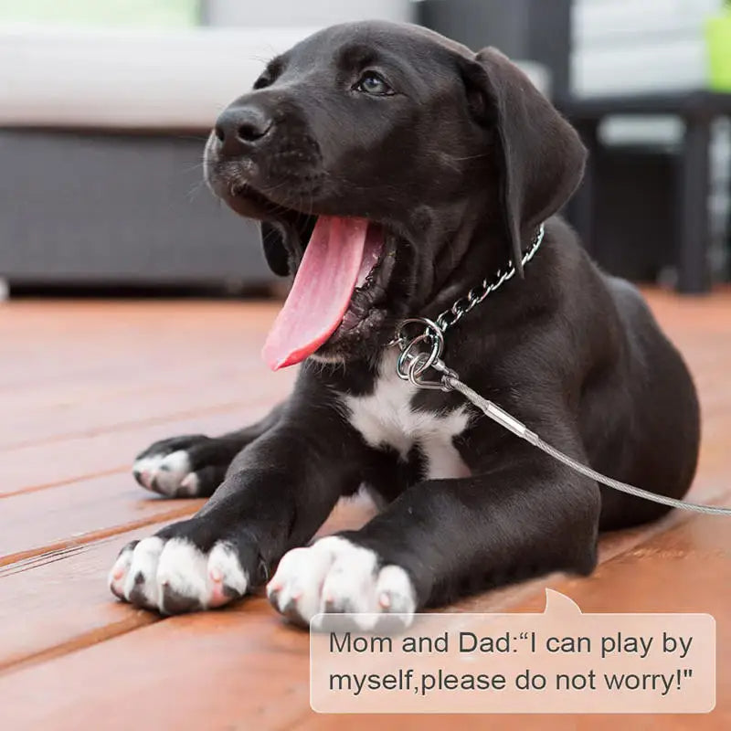 Hundeleinen aus Stahlseil mit Zwei Enden - Schleppleine Hund