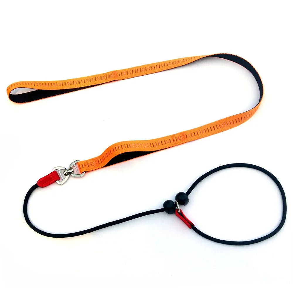 Hundetraining Würgehalsband mit Zugleine - Schleppleine Hund