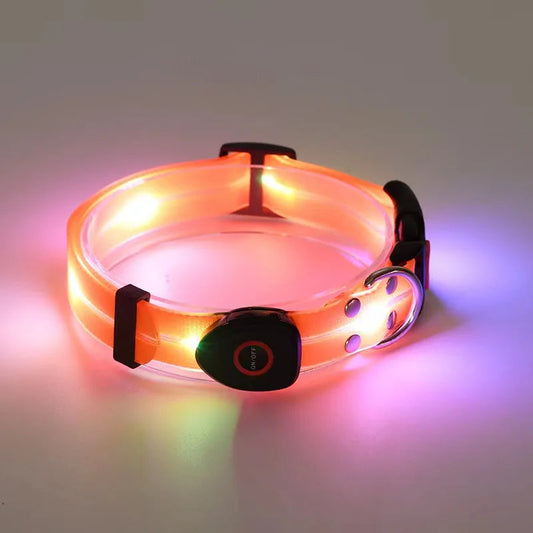 Leuchtendes LED Blinkhalsband mit Leine - Schleppleine Hund