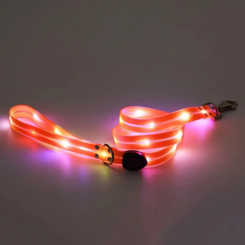Leuchtendes LED Blinkhalsband mit Leine - Schleppleine Hund