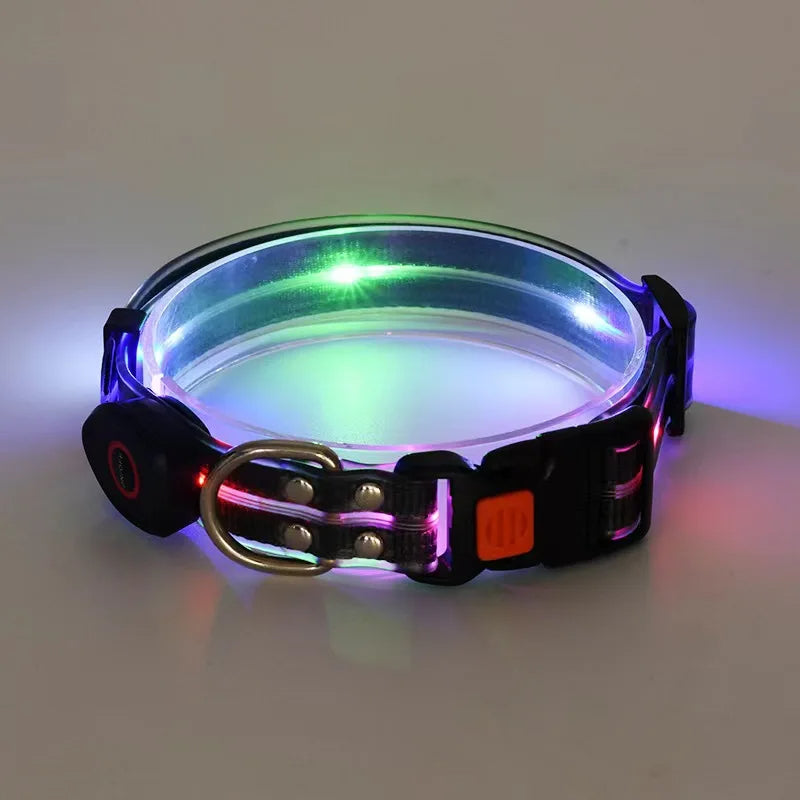 Leuchtendes LED Blinkhalsband mit Leine - Schleppleine Hund