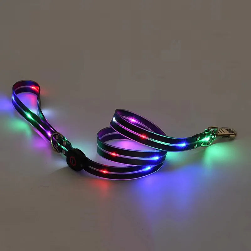 Leuchtendes LED Blinkhalsband mit Leine - Schleppleine Hund