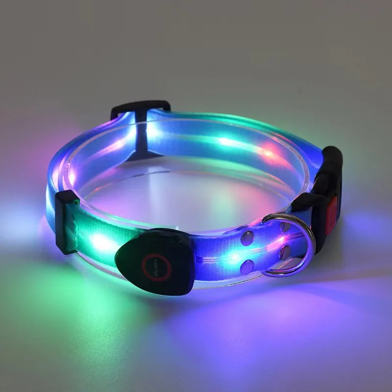 Leuchtendes LED Blinkhalsband mit Leine - Schleppleine Hund