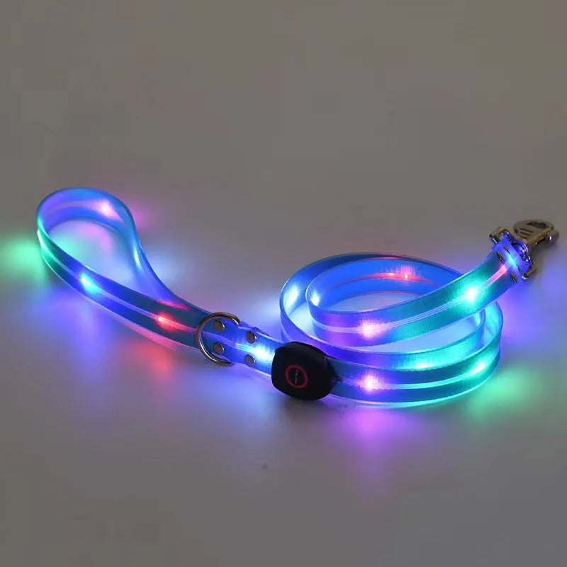 Leuchtendes LED Blinkhalsband mit Leine - Schleppleine Hund