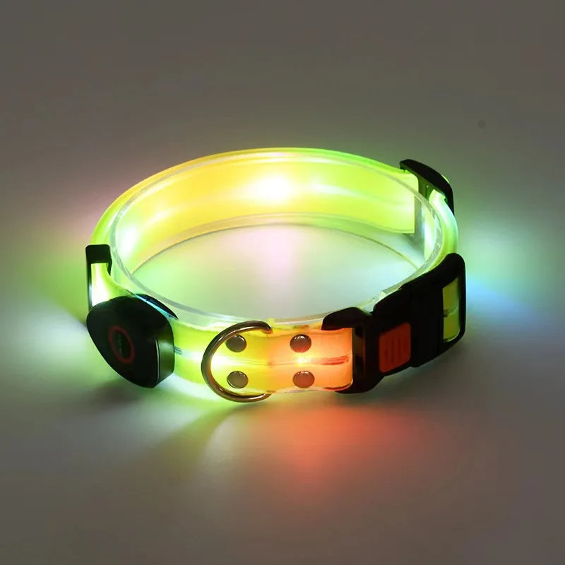 Leuchtendes LED Blinkhalsband mit Leine - Schleppleine Hund