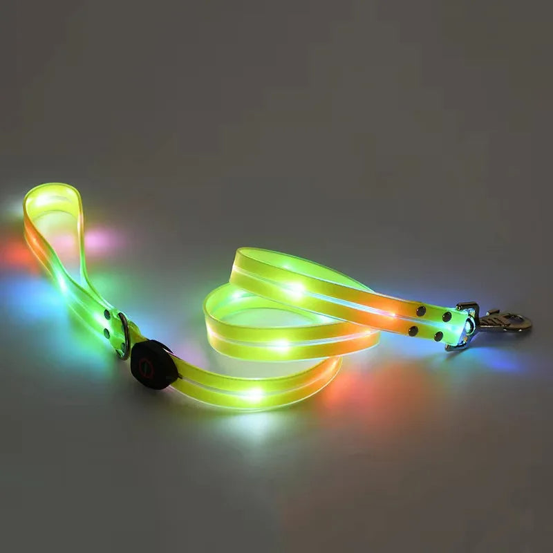 Leuchtendes LED Blinkhalsband mit Leine - Schleppleine Hund