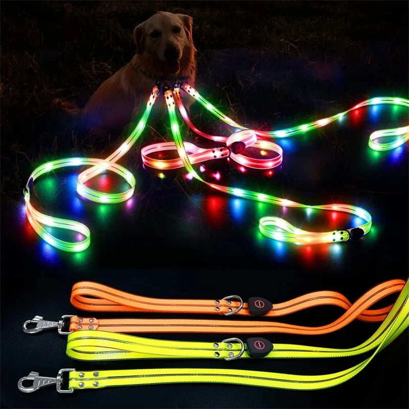 Leuchtendes LED Blinkhalsband mit Leine - Schleppleine Hund