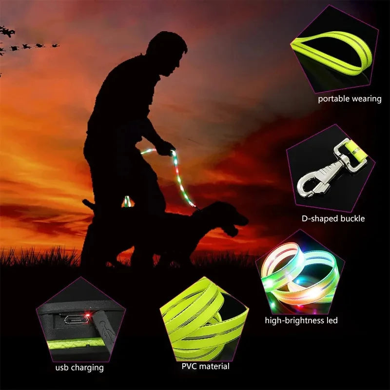 Leuchtendes LED Blinkhalsband mit Leine - Schleppleine Hund