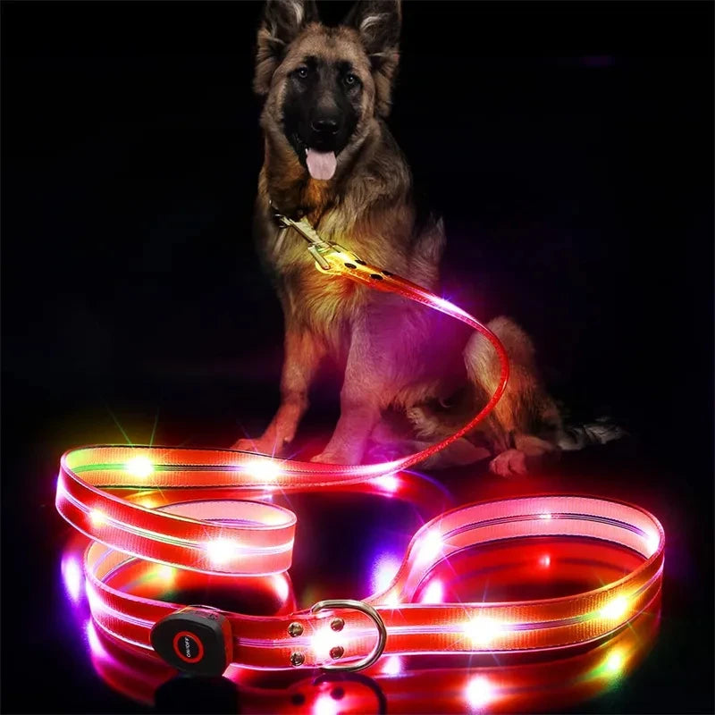 Leuchtendes LED Blinkhalsband mit Leine - Schleppleine Hund