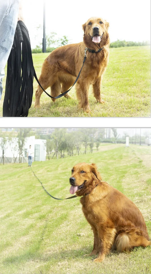 Nylonleine mit Schwammgriff - Schleppleine Hund