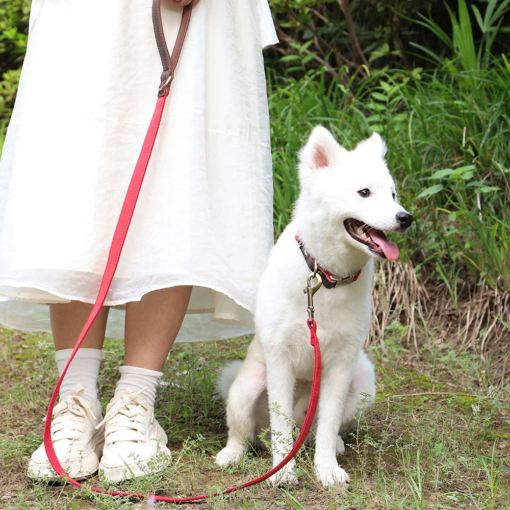 PU-Leder Hundeleine - Schleppleine Hund