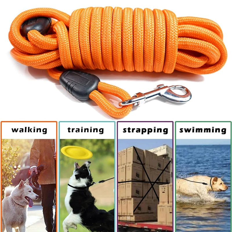 Robuste Lange Seilleine - Schleppleine Hund