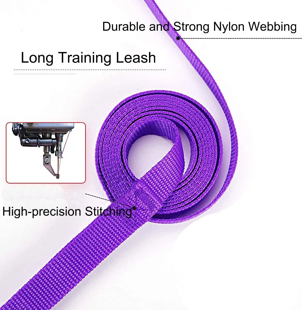 Strapazierfähige Leine für Das Hundetraining - Schleppleine Hund