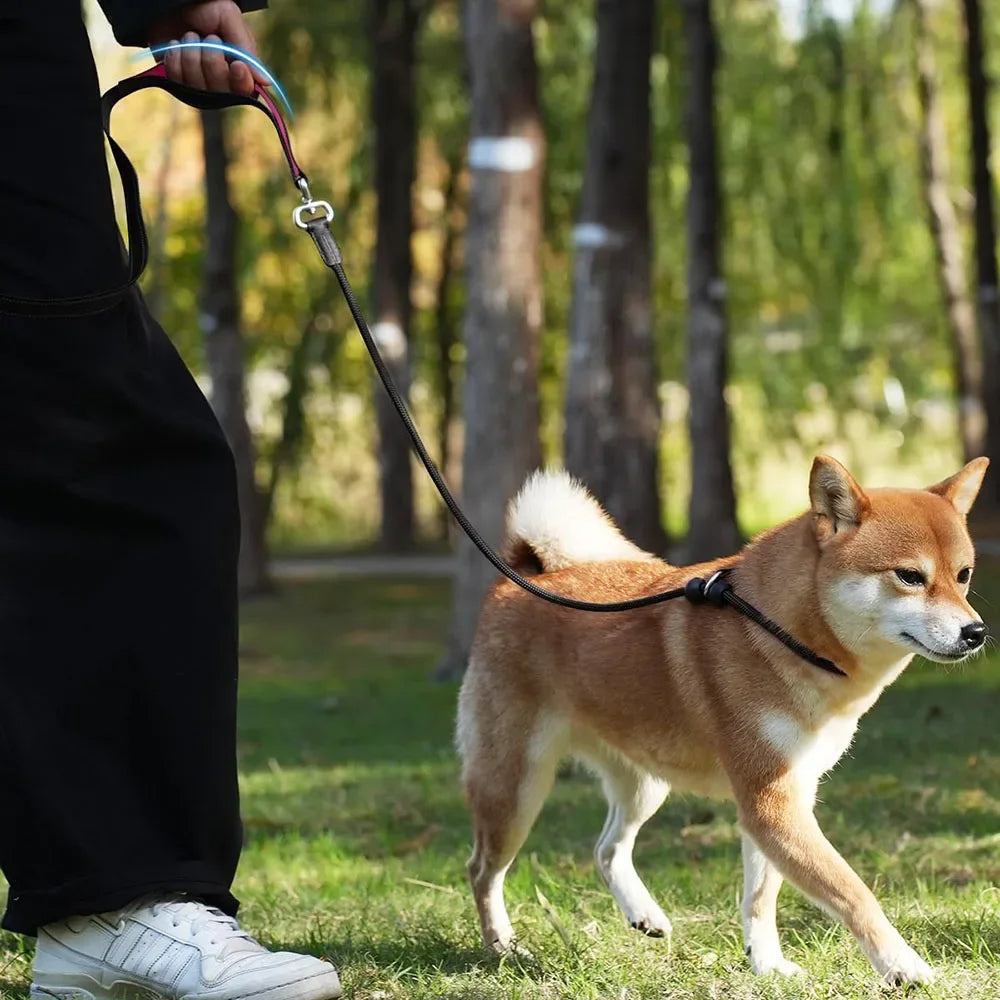 Hundetraining Würgehalsband mit Zugleine - Schleppleine Hund