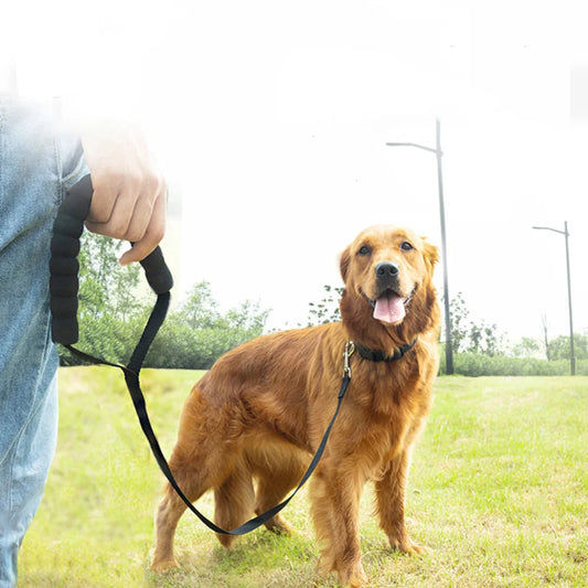 Nylonleine mit Schwammgriff - Schleppleine Hund