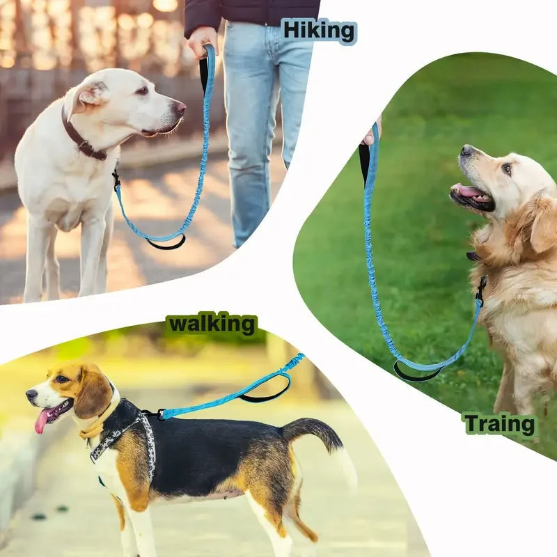 Stoßdämpfende Leine mit Doppelt Gepolsterten Griffen - Schleppleine Hund