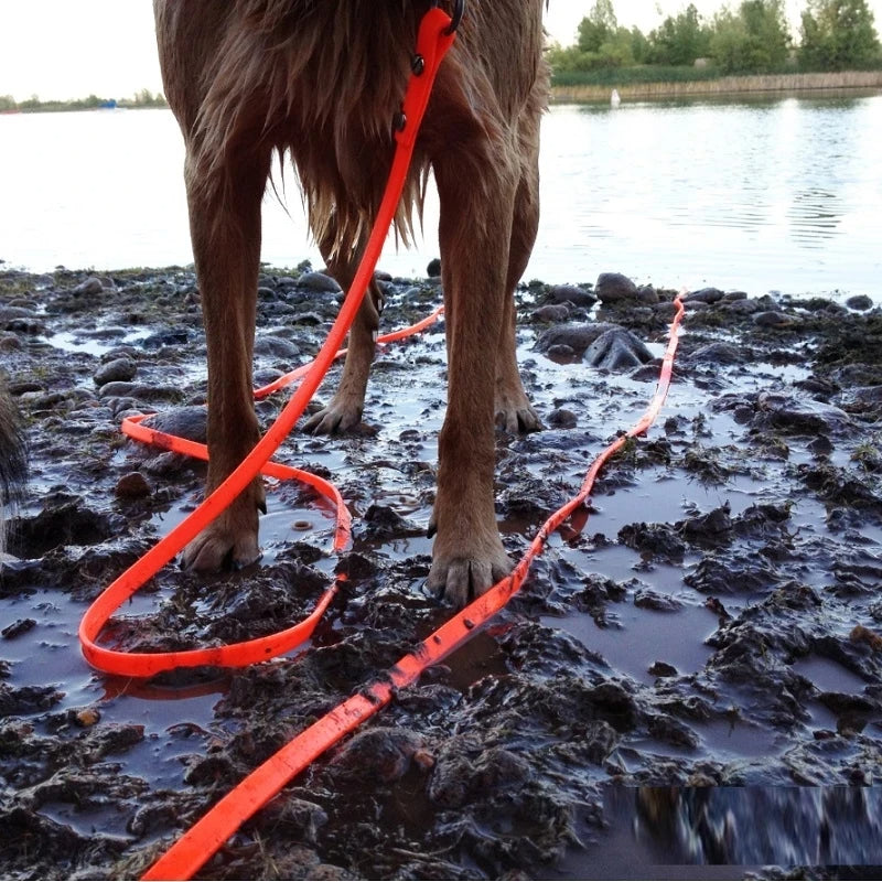 Wasserdichte PVC-Hundeleine - Schleppleine Hund